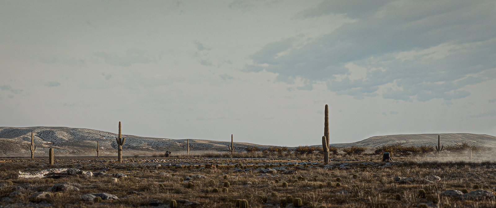 victors_amo_NoCountry_03 victors_amo_NoCountry_03